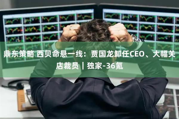 鼎东策略 西贝命悬一线：贾国龙卸任CEO、大幅关店裁员｜独家-36氪