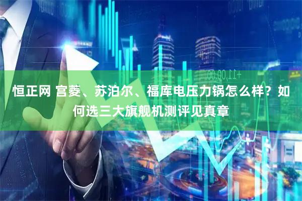 恒正网 宫菱、苏泊尔、福库电压力锅怎么样？如何选三大旗舰机测评见真章