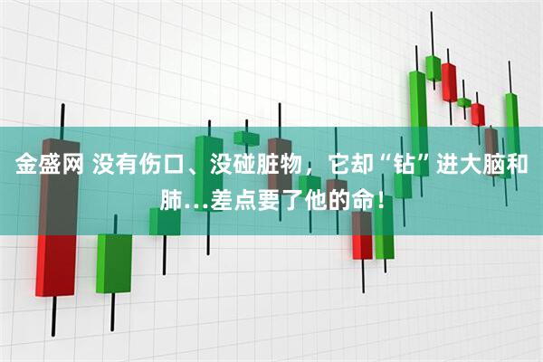 金盛网 没有伤口、没碰脏物，它却“钻”进大脑和肺…差点要了他的命！