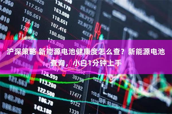 沪深策略 新能源电池健康度怎么查？新能源电池查询，小白1分钟上手