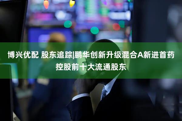 博兴优配 股东追踪|鹏华创新升级混合A新进首药控股前十大流通股东